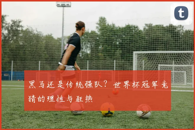 黑马还是传统强队？世界杯冠军竞猜的理性与狂热