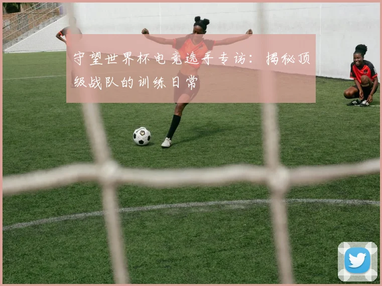 守望世界杯电竞选手专访：揭秘顶级战队的训练日常