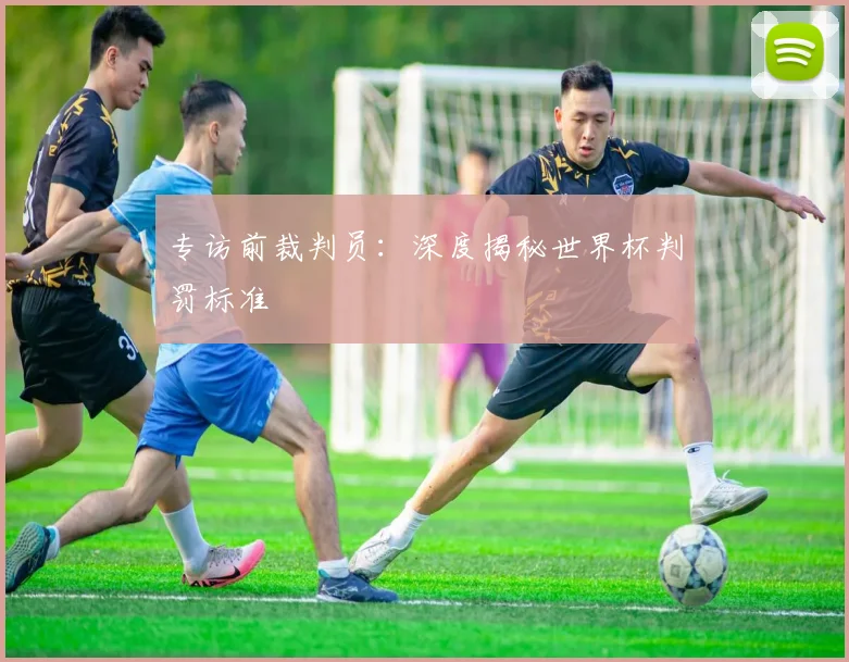 专访前裁判员：深度揭秘世界杯判罚标准